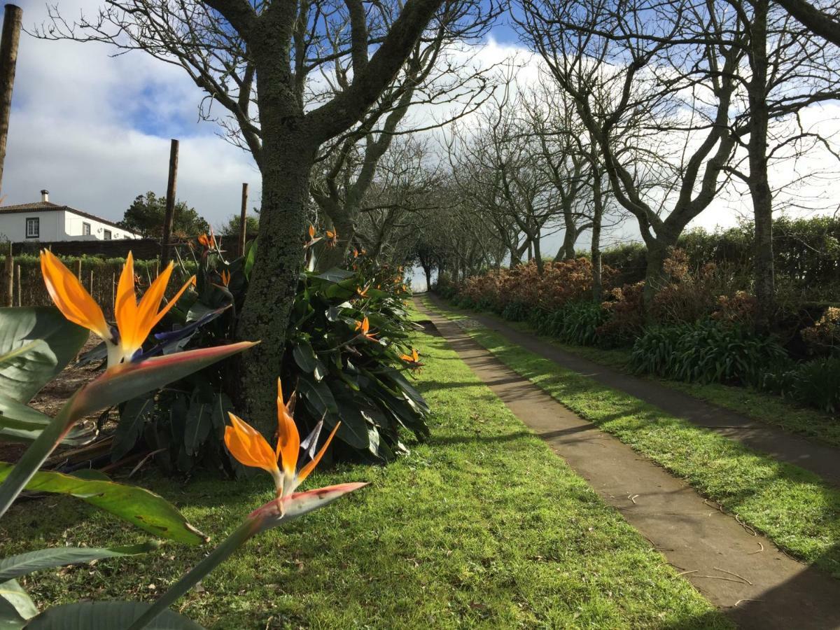 Azores Protea House Leilighet Lagoa  Eksteriør bilde